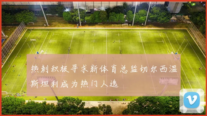 热刺积极寻求新体育总监切尔西温斯坦利成为热门人选