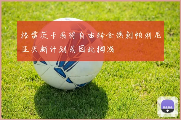格雷茨卡或将自由转会热刺帕利尼亚买断计划或因此搁浅