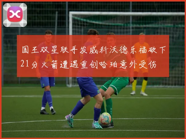 国王双星联手发威科沃德乐福砍下21分火箭遭遇重创哈珀意外受伤